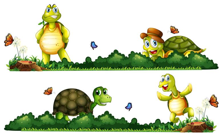 Tortugas siendo felices en el jardín. vector