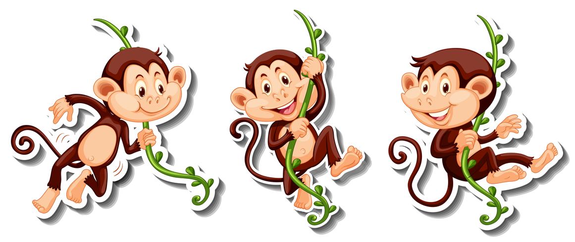 Stickers of monkeys hanging on vine vector