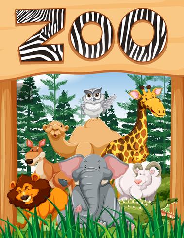 Wild animals under zoo sign vector