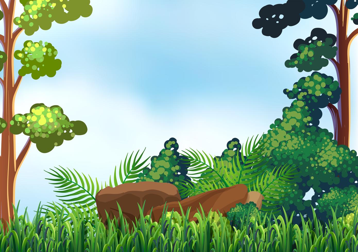 Forest 431721 Vector Art at Vecteezy
