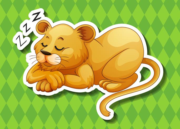 Lion cub sleeping alone vector