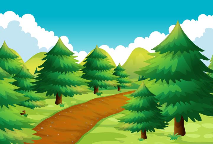 Nature scene with track and pine trees vector