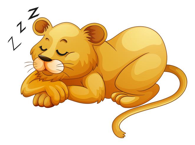 Cute lion sleeping alone vector