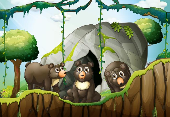 Tres osos pequeños junto a la cueva. vector