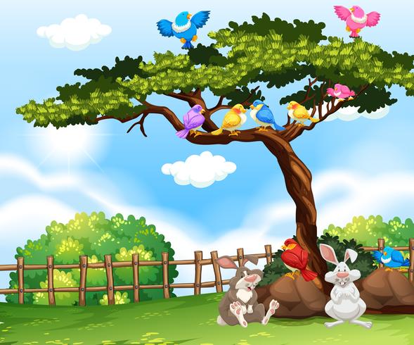 Escena de fondo con pájaros en el árbol y conejitos en la hierba vector