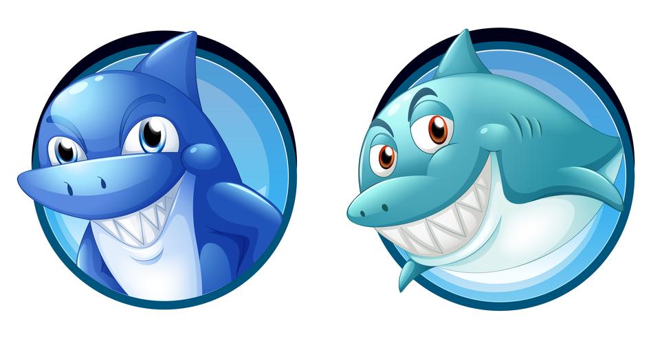 Wild sharks on round badges vector