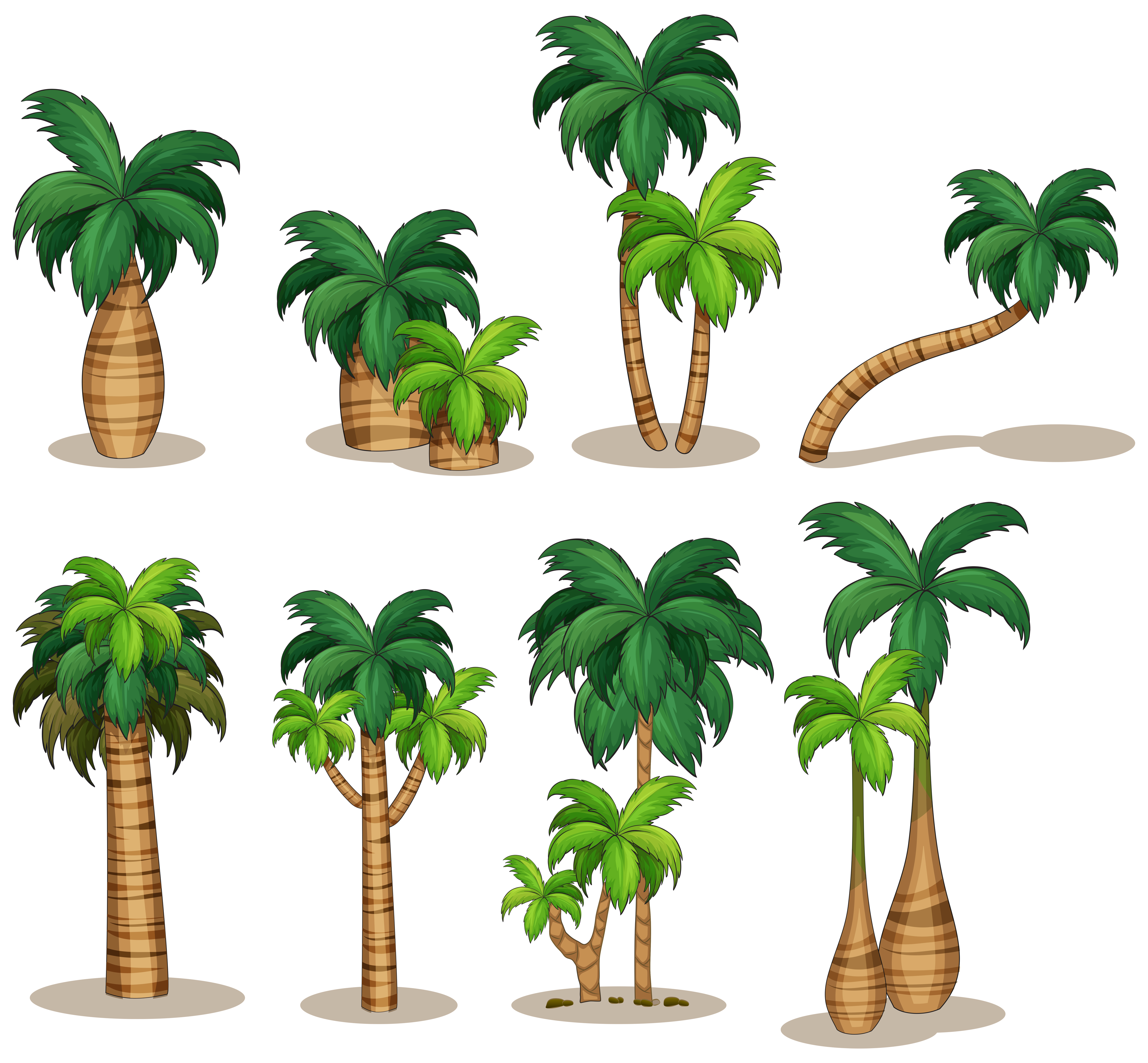  Palm  trees 431891 Vector  Art at Vecteezy