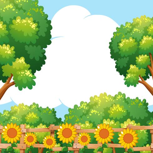 Escena de fondo con girasoles en el jardín vector