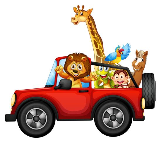 Animals and car vector