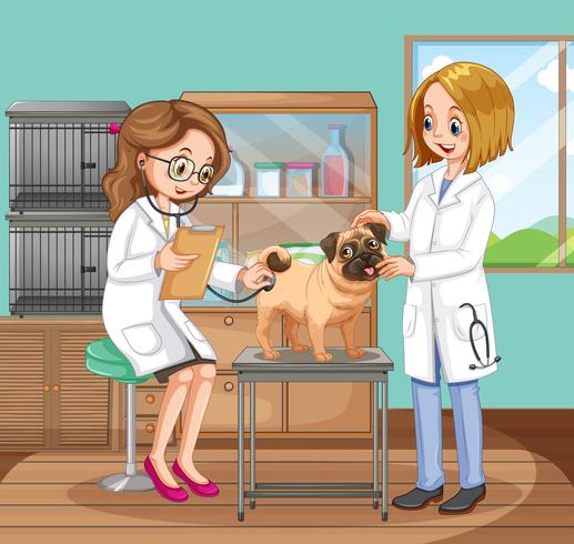 Veterinarian Doctors Helping a Dog vector