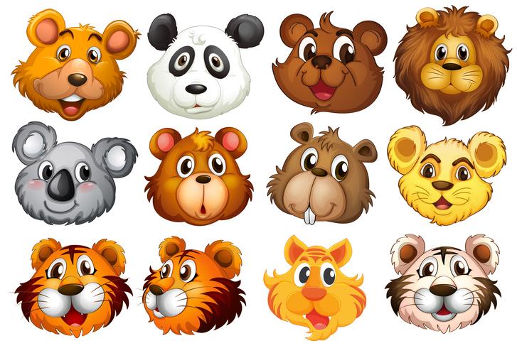 Head of the different animals vector