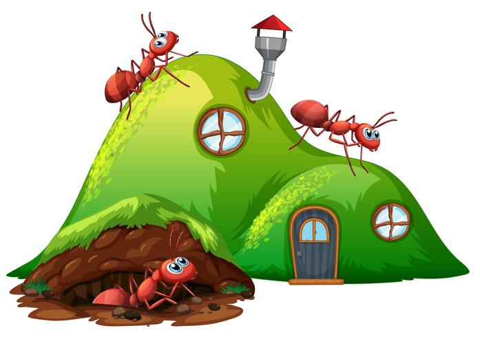 Underground hole ant home vector