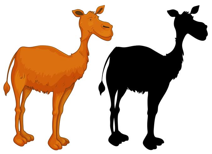 Set of camel character vector