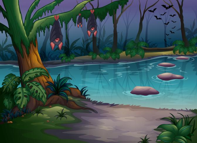 Mysterious woods and a river vector