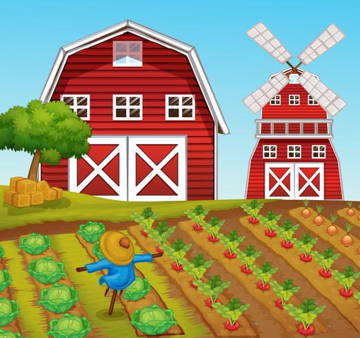 Rural Farm and Barn Landscape vector