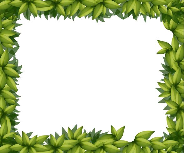 Border made of leaves vector