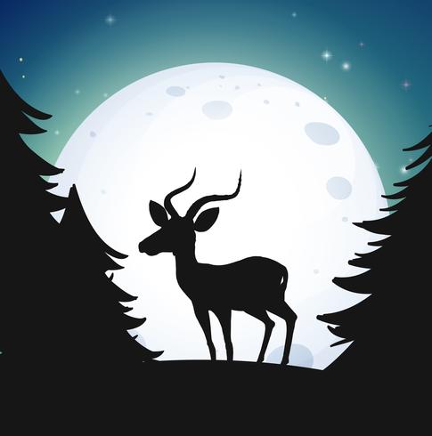 Silueta de bosque y ciervos en la noche vector