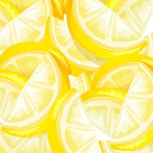 Close Up Yellow Lemon Template vector