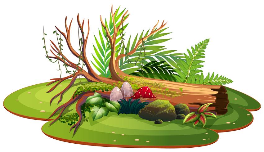 Naturaleza aislada para la decoración. vector