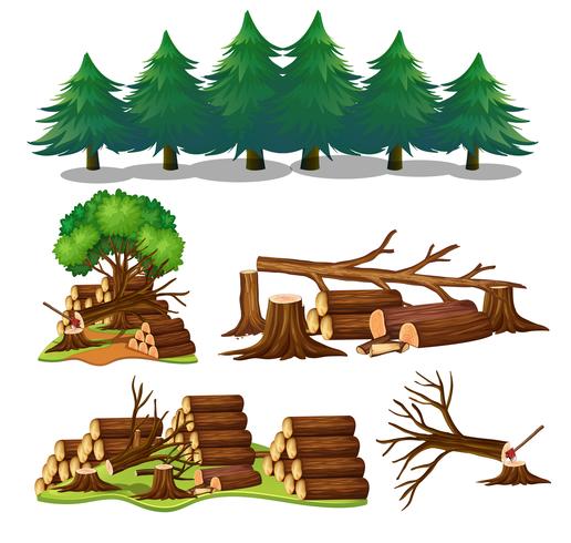 A Set of Wood Element vector