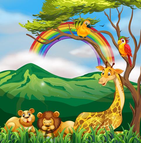 Wild animals in nature vector