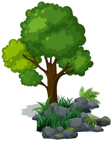 Árbol verde y hierba en las rocas vector