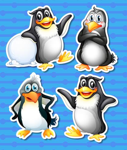 Pingüino vector