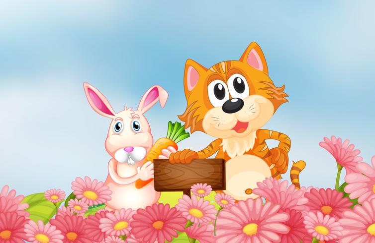 A bunny holding a carrot and a cat holding an empty signboard vector