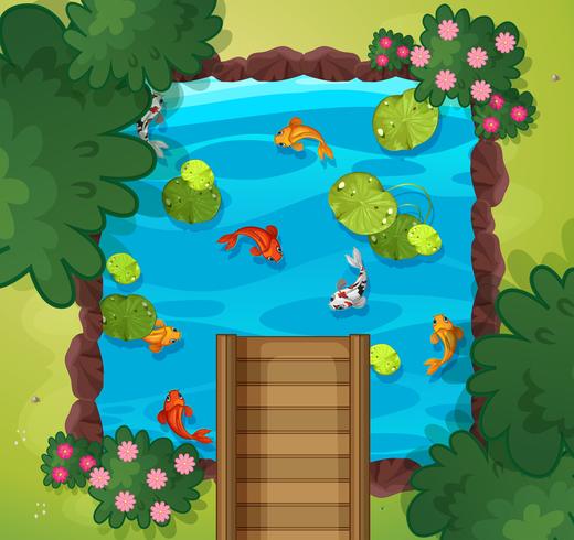 An aerial view of fish pond vector