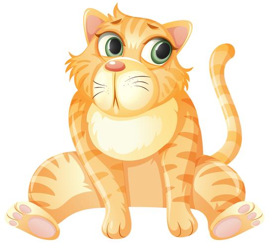 Un gato amarillo que se sienta en el fondo blanco vector