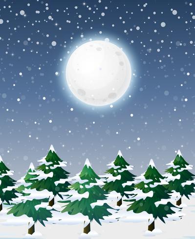 Snow landscape at night vector