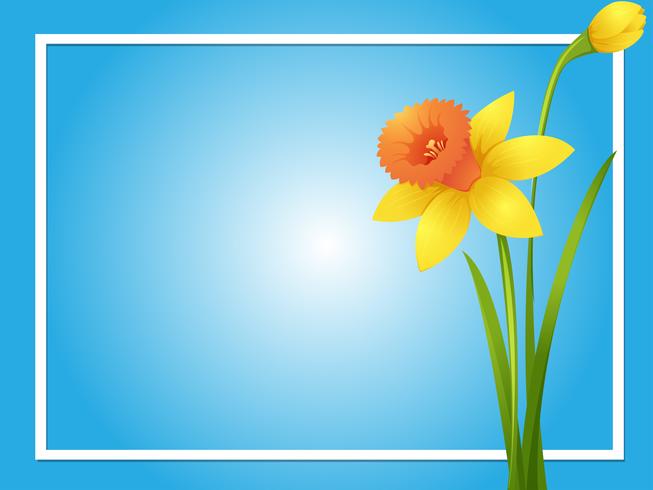 Border template with yellow daffodil vector