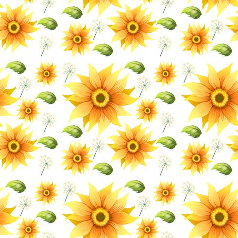 Sunflower on seamless background vector