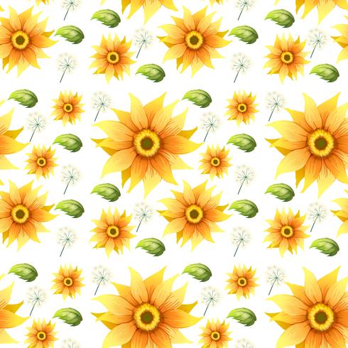 Sunflower on seamless background vector