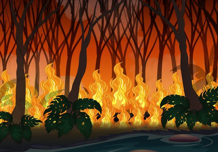 Wildfire Disaster in Big Forest vector