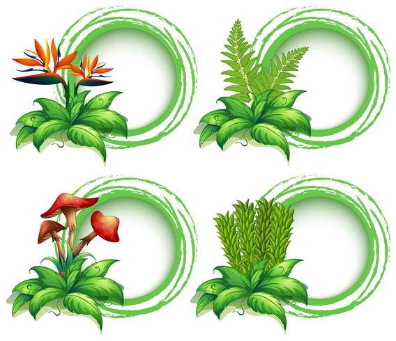 Border templates with leaves and flowers vector