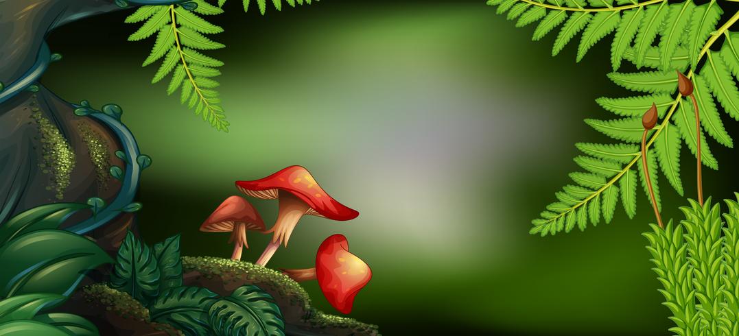 Background scene with mushrooms in forest vector