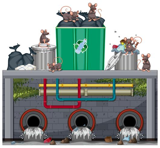 Unsanitary Waste Disposal with Rat vector