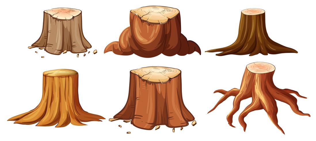 A Set of Different Stump vector