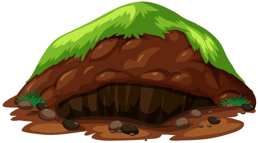 An Animal Underground Habitat on White Background vector