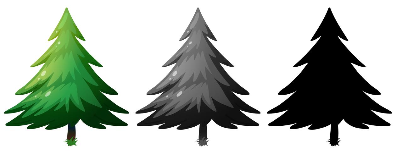 Set of pine tree  vector