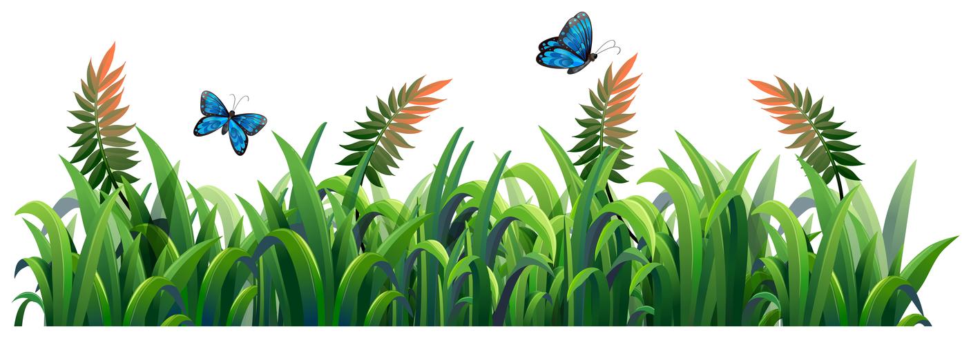 Flower and grass for decor vector