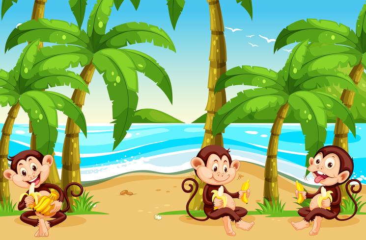 Monkey at the beach vector