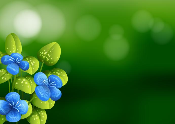 Beautiful blue flower background