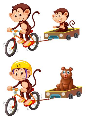 Monkey riding bicycle trailer vector