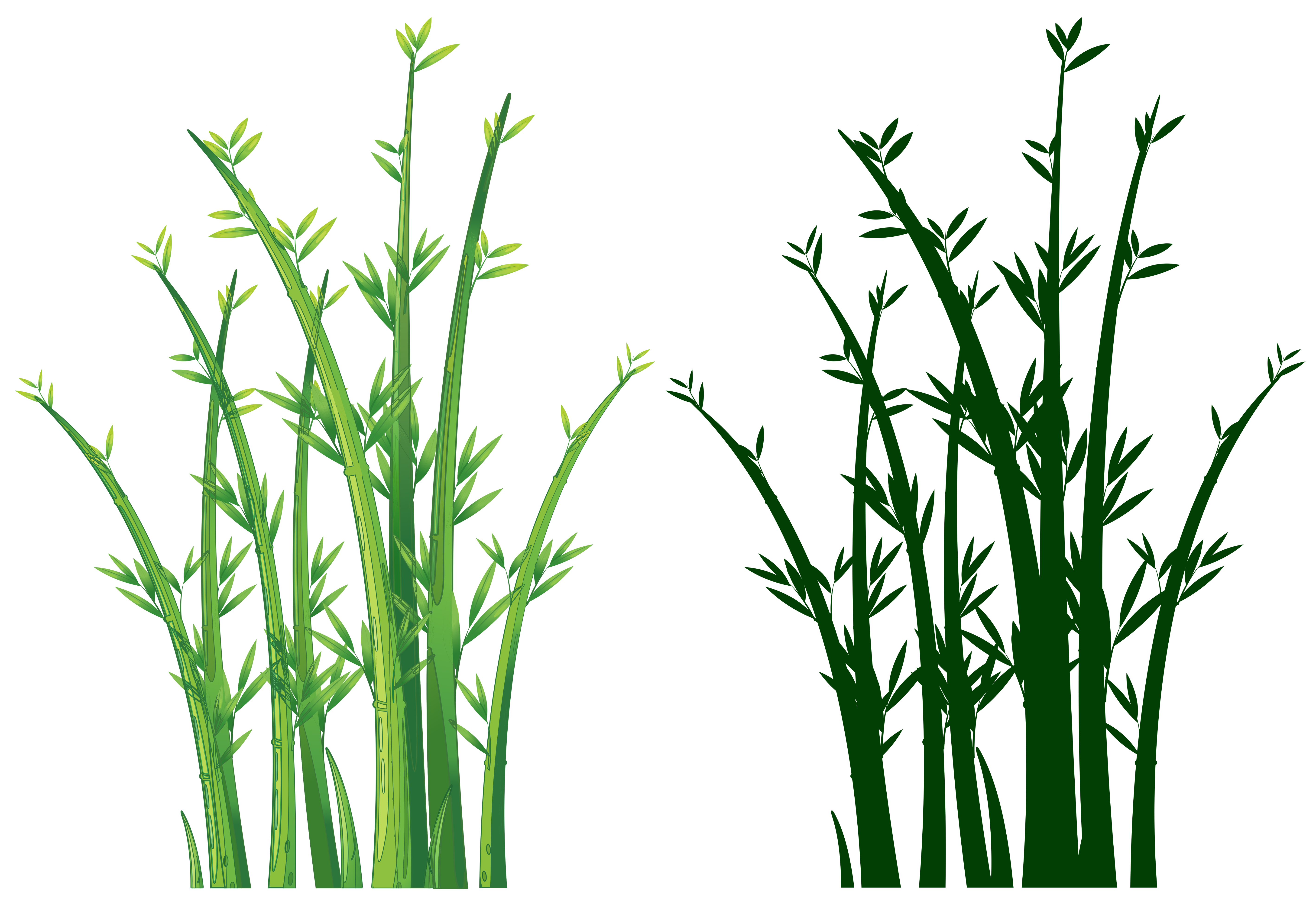 Bamboo trees in green 432718 Vector Art at Vecteezy