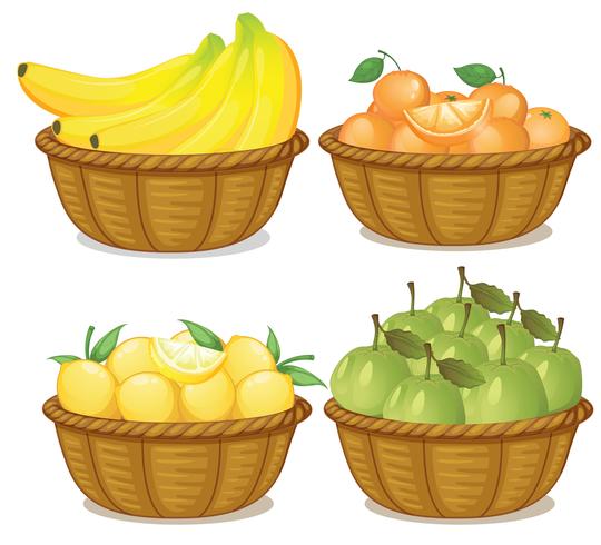 Un conjunto de frutas en cesta. vector