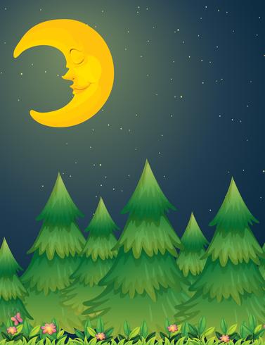 Moon night nature scene vector