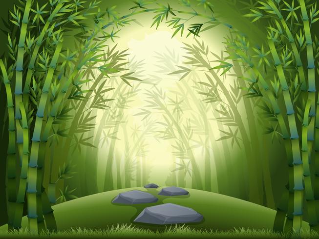 Escena de fondo con el bosque de bambu vector