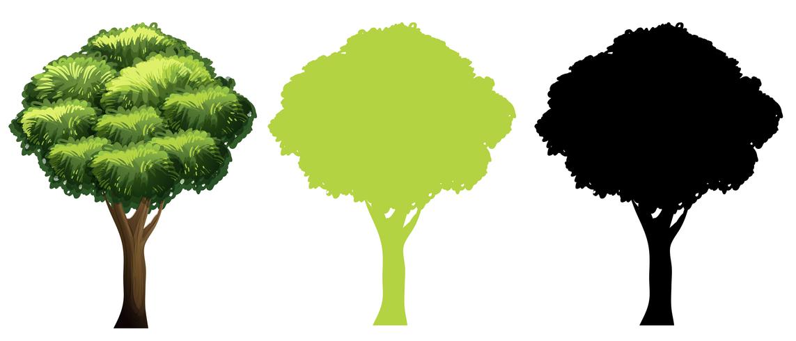 Set of different tree design vector